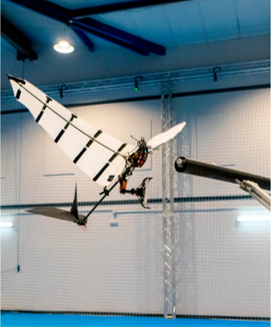 P-Flap by Raphael Zufferey.