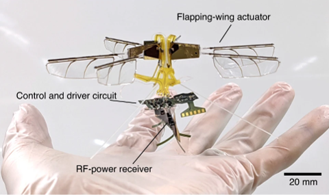 Pmn-pt flyer insect inspired drone by Takashi Ozaki.