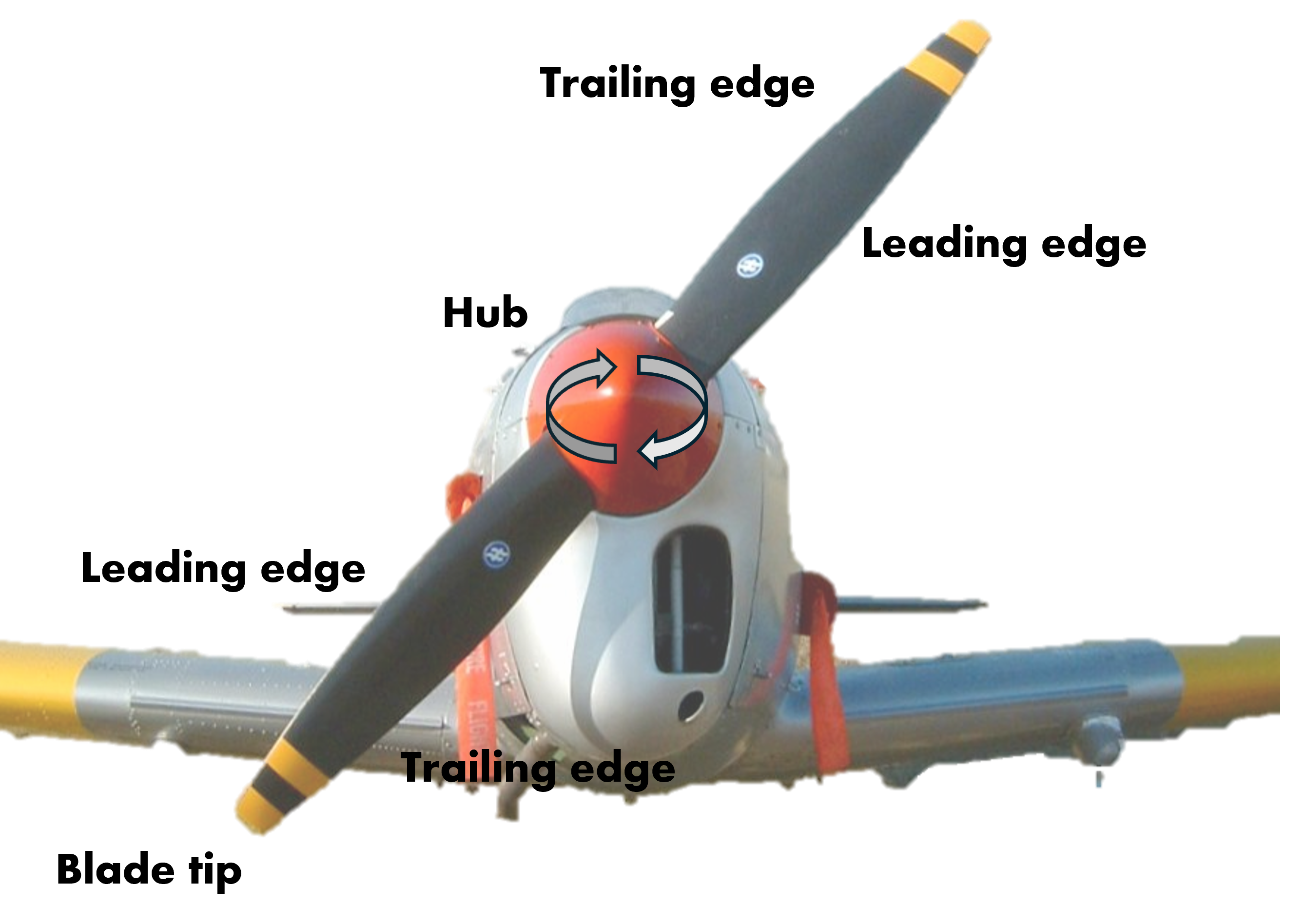 Designation of a propeller on a De Havilland Canada DHC-1 Chipmunk.