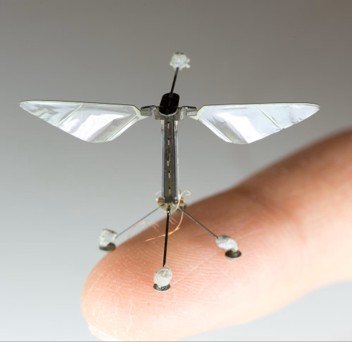 Robobee built by Kevin Ma.