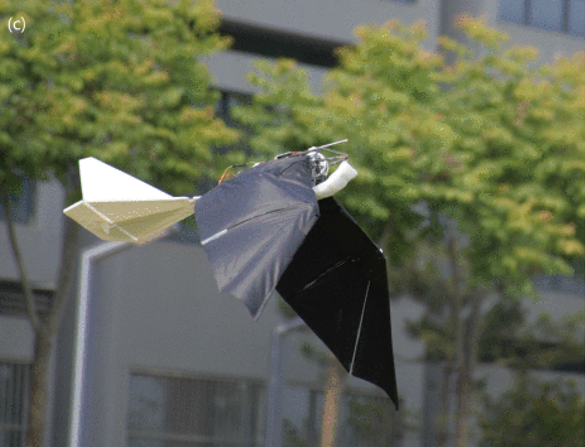 RoboFalcon by Ang Cheng.