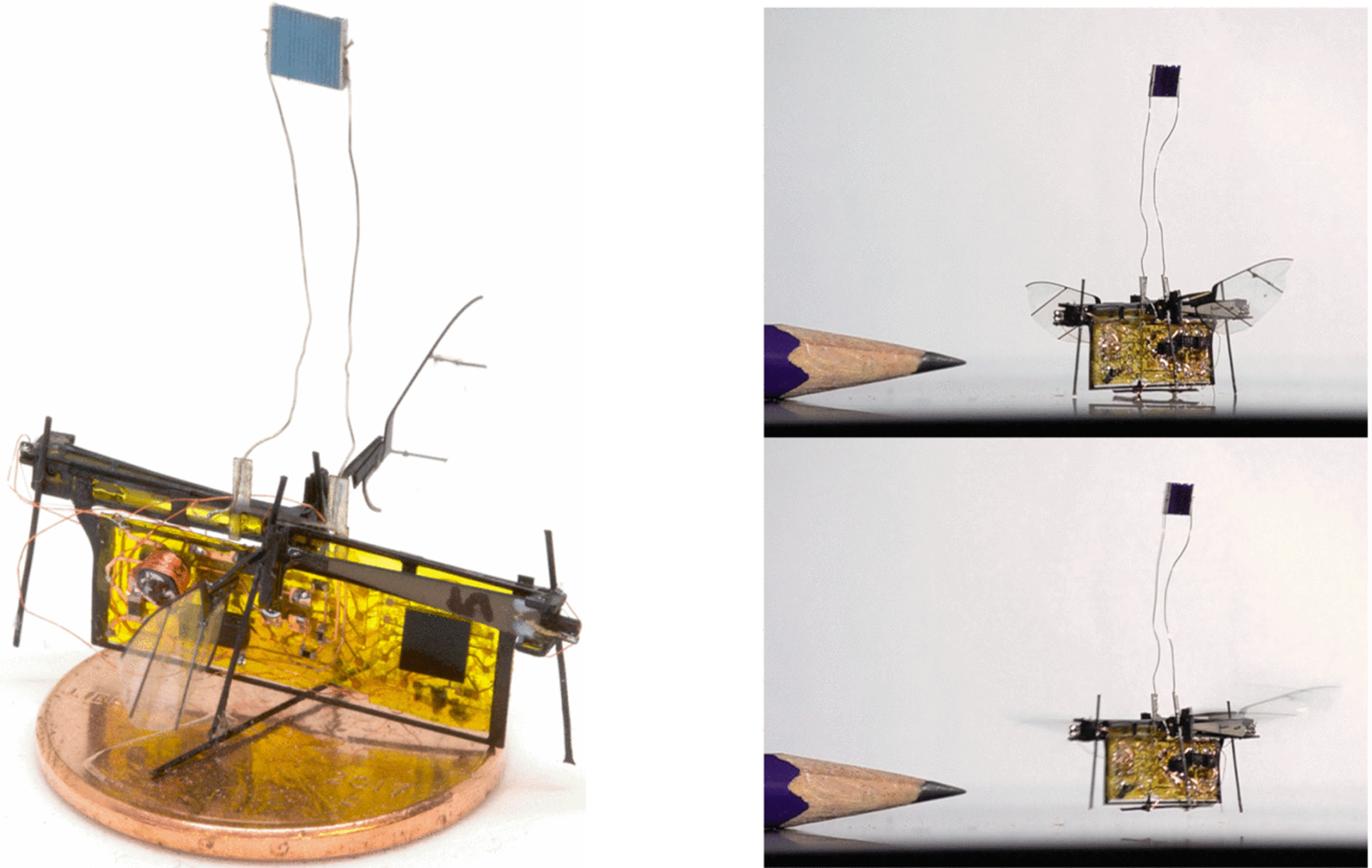 Laser powered RoboFly.