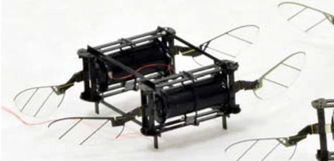 SoftFly robotic fly.